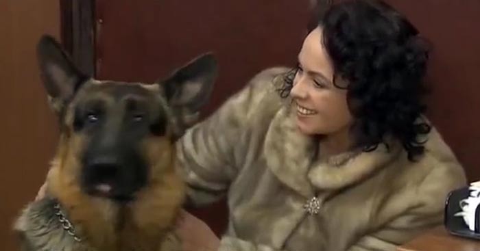 кадр Возвращение Мухтара 9 6