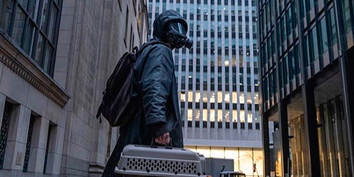 Кадр из сериала Y. Последний мужчина кадр Y. Последний мужчина 7