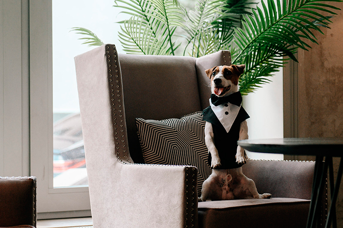 кадр Жека Рассел 5