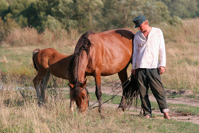 кадр Жила-была одна баба 8