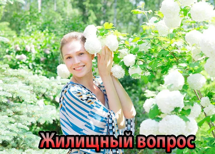 Кадр из сериала Жилищный вопрос постер Жилищный вопрос