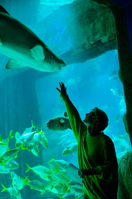 кадр Жвачка 5