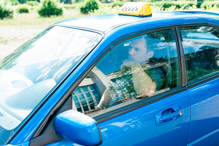 кадр Выходите без звонка 2 сезон 8