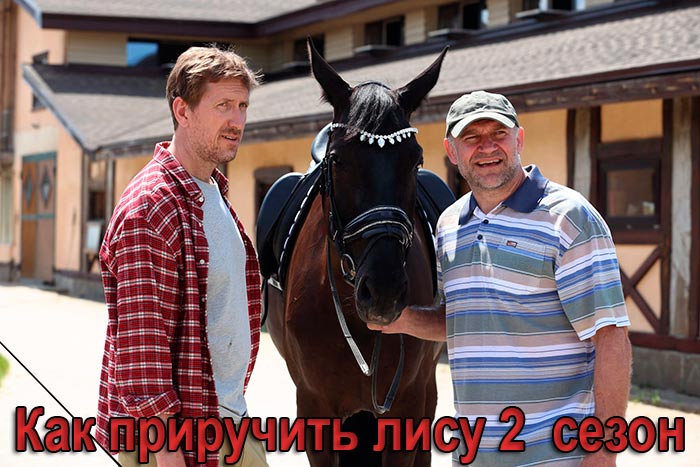 постер Как приручить лису 2 сезон