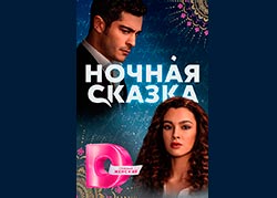 Ночная сказка